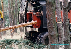 Hackschnitzelharvester - 1.Prototyp